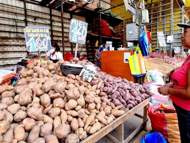 INEI reporta inflación de 0.23% en Lima durante junio