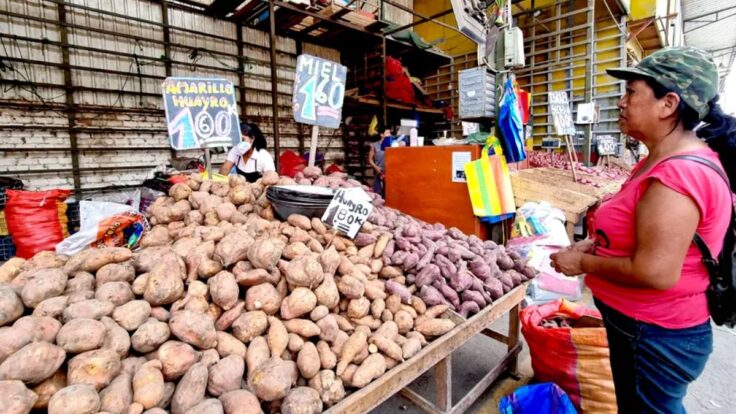 INEI reporta inflación de 0.23% en Lima durante junio