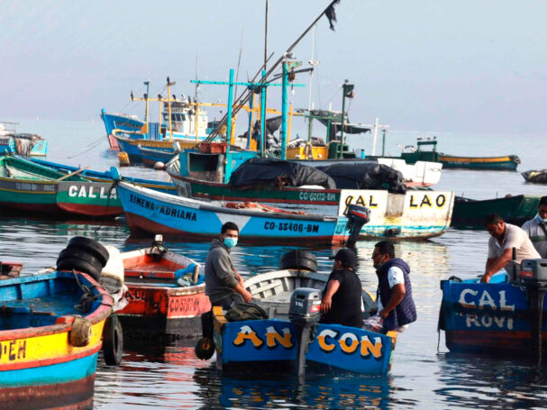 pesca se desploma