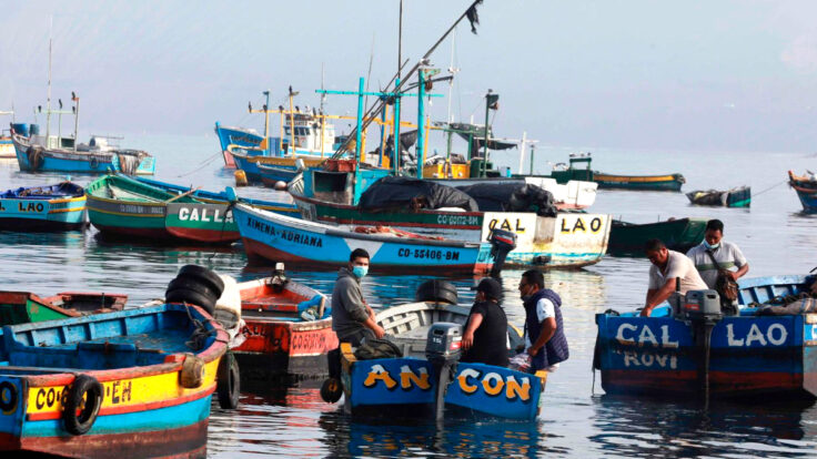 pesca se desploma