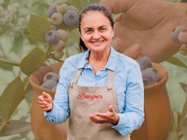 Historia de Danper