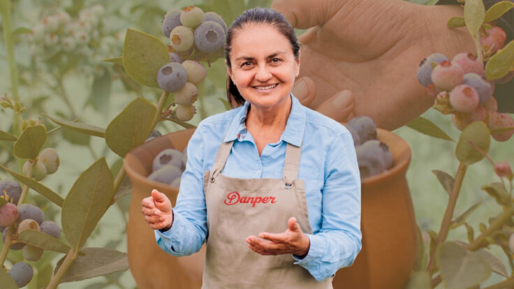 Historia de Danper