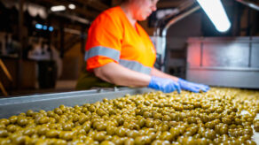 exportaciones de aceitunas midagri