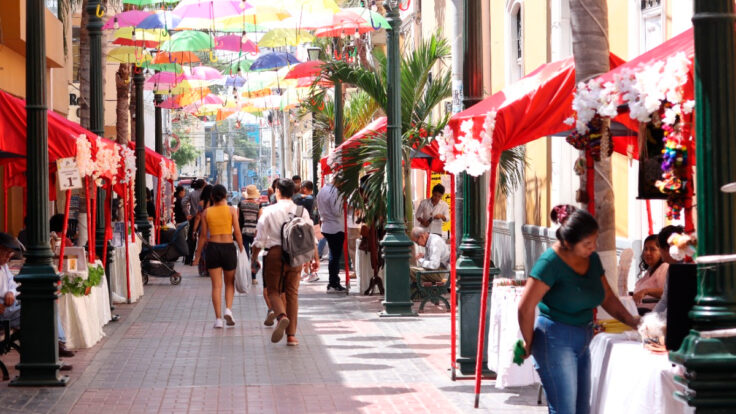 mypes piura inversión