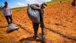 proyecto agro competitivo y sostenible