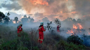 incendios forestales en Perú