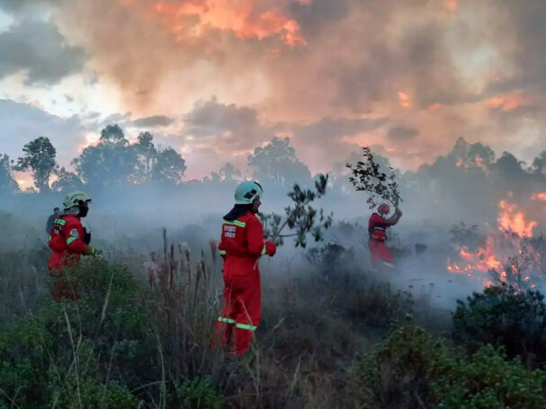 incendios forestales en Perú