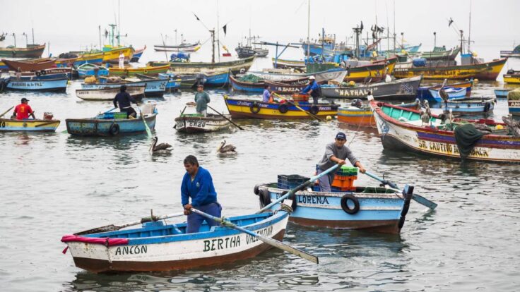 producción pesquera cae INEI 2026